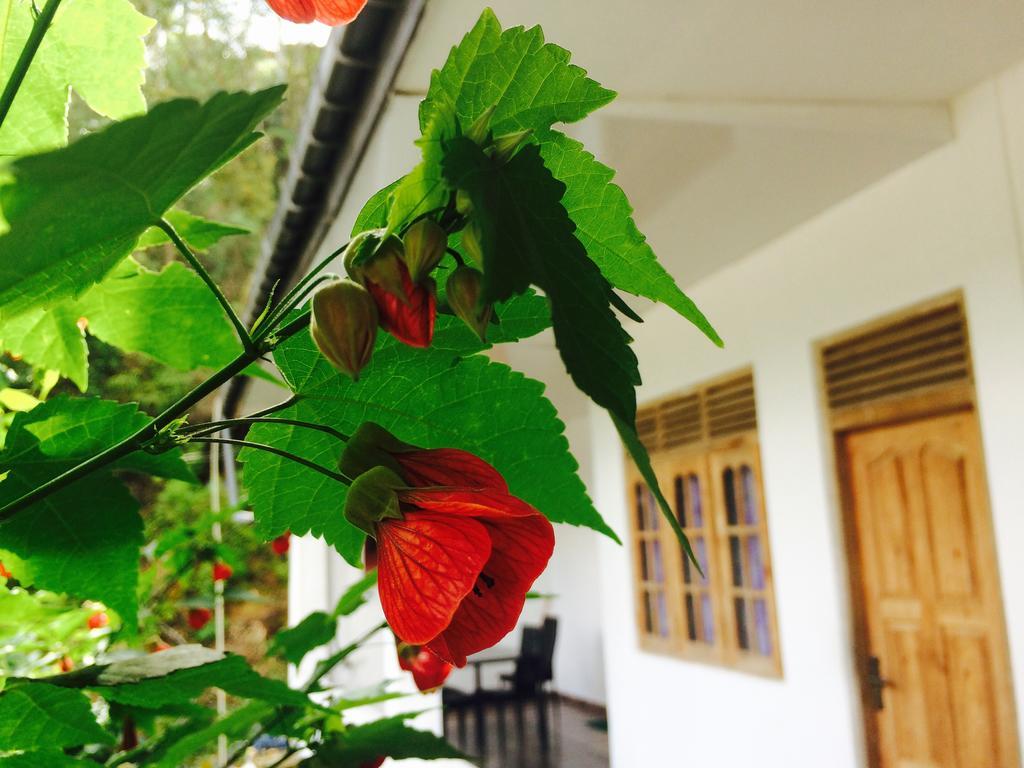 Green View Guest Inn Nallathanniya Exterior photo